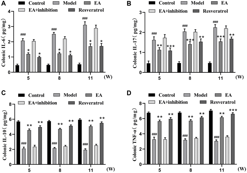 EA decoction decreases the level of inflammation in colorectal tissue. (A) IL-6 expression level. (B) IL-17 expression level. (C) IL-10 expression level. (D) TNF-α expression level. Three mice were analyzed in each group. Data are presented as mean ± SD from three independent experiments. #p ##p ###p *p **P ***p 