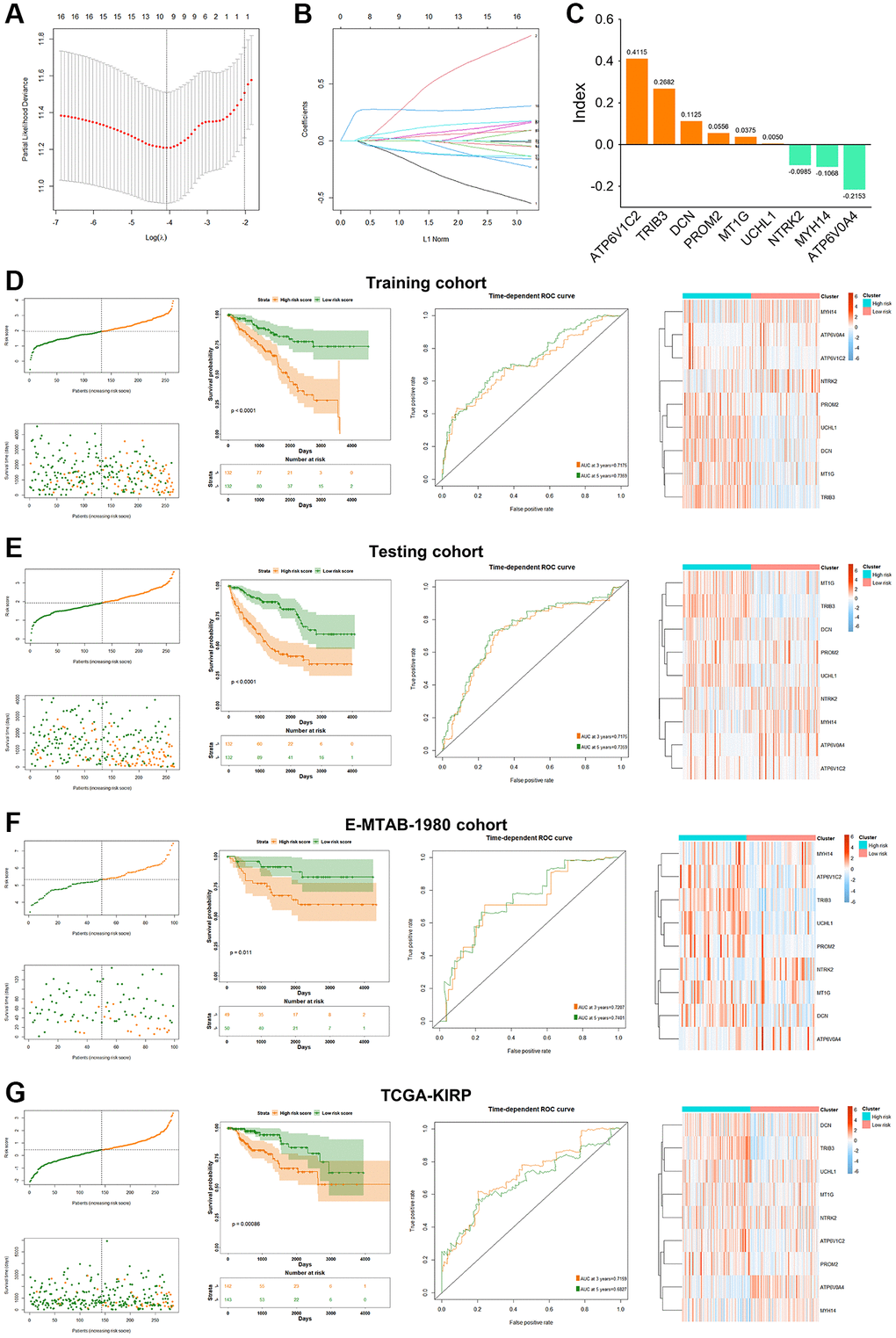 The identification and prognostic analyses of the PRPCDGs risk signature. (A, B) LASSO regression analyses of PRPCDGs in TCGA-KIRC training dataset. (C) Bar plot on LASSO regression coefficients of the PRPCDGs. (D) The display of risk score, OS and OS status; Kaplan–Meier curves of the high- or low-PRPCDGs-risk group; prognostic performance of PRPCDGs risk signature presented in time-dependent ROC curves; heatmap of PRPCDGs expression in these two risk groups in KIRC training dataset. (E–G) The same analyses in KIRC-testing cohort and the external validation datasets (E-MTAB-1980 and TCGA-KIRP).