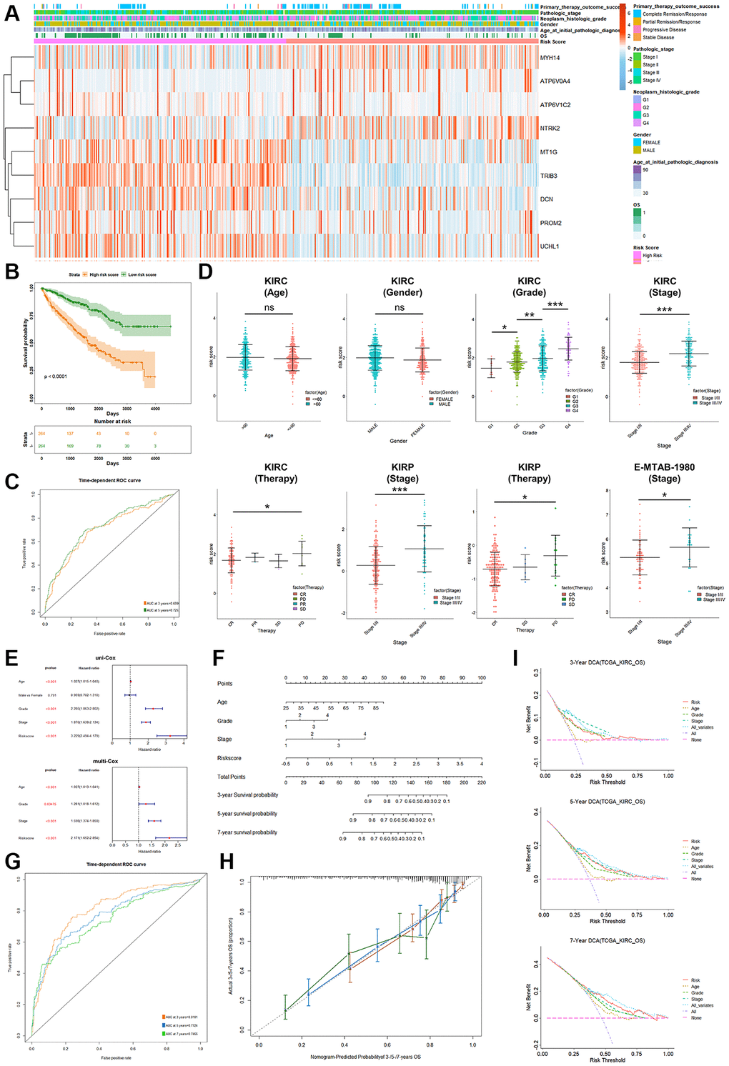 Analysis of clinical relevance and clinical model construction based on PRPCDGs risk signature. (A) Heatmap of PRPCDGs’ expression in TCGA-KIRC dataset. (B, C) Kaplan–Meier survival and ROC curves based on PRPCDGs risk signature. (D) Comparison of the risk score in high- and low-PRPCDGs-risk groups on gender, age, stage, grade, and therapy response in KIRC cohort and two external validation datasets (E-MTAB-1980 and TCGA-KIRP). (E) Uni- and multi-Cox regression analyses based on OS in KIRC cohorts. (F) Nomogram model of the 3-/5-/7-year survival probability of patients in KIRC cohort. (G) ROC curve in the presence of model’s predictive accuracy in KIRC dataset. (H) The calibration curve in the presence of 3-, 5-, and 7-year OS probability of the model in KIRC dataset. (I) DCA curve in the presence of 3-, 5-, and 7-year OS probability according to clinical models in KIRC dataset.