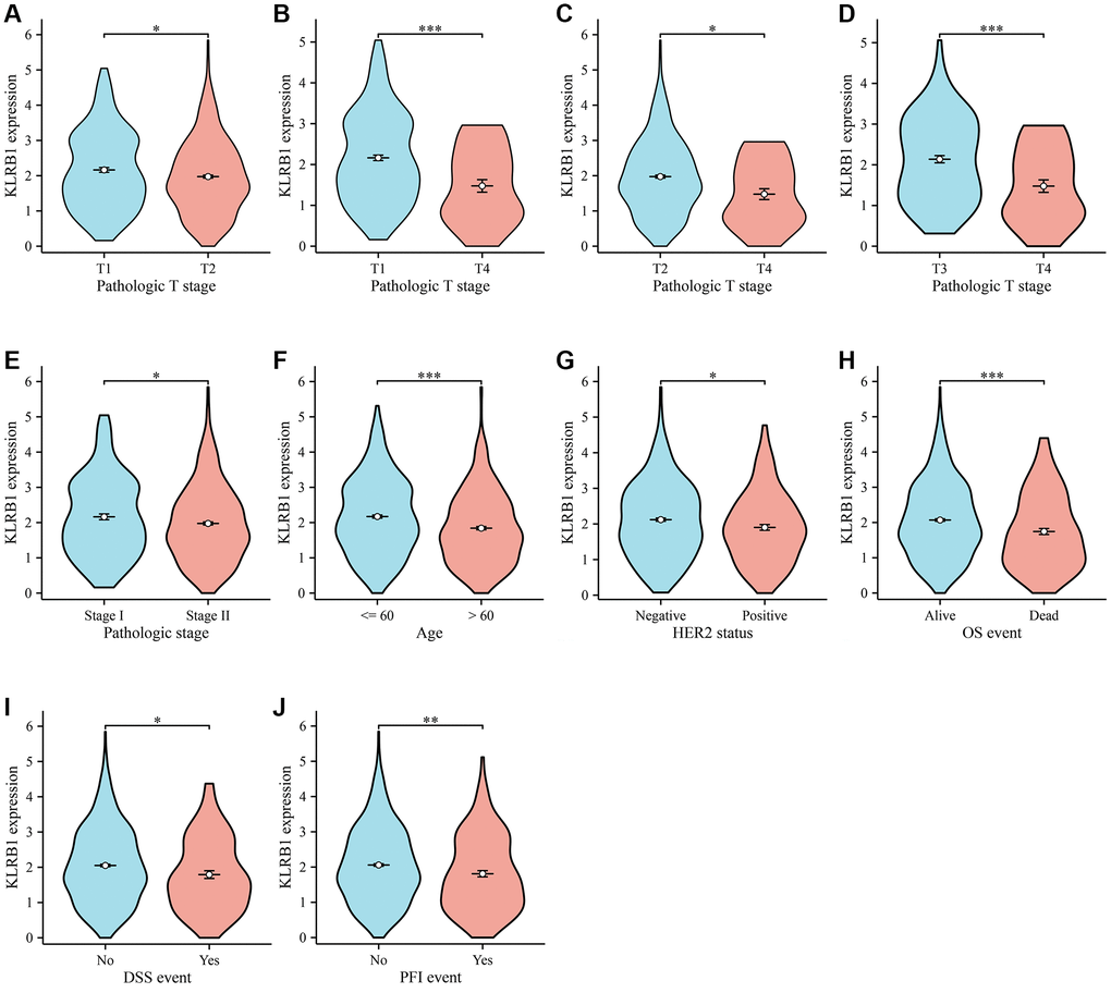 KLRB1 in relation to clinical features in BC. (A–D) T stage; (E) Pathological stage; (F) Age; (G) Her2 status; (H–J) The better prognosis related the KLRB1 overexpression.