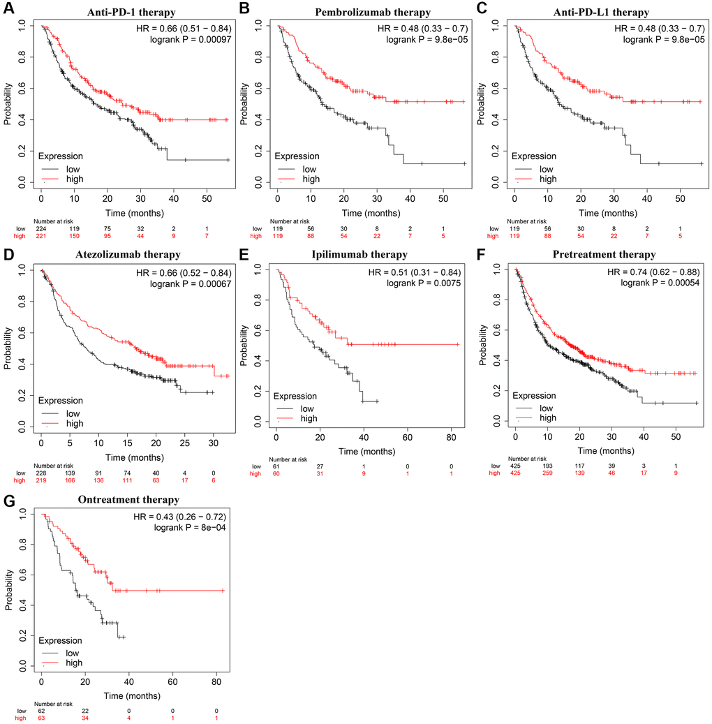 KLRB1 overexpression was correlated with the OS in cancer patients on immunotherapy. (A) Anti-PD-1; (B) Pembrolizumab; (C) Anti-PD-L1; (D) Atezolizumab; (E) Ipilimumab; (F) Pretreatment; (G) Ontreatment. Abbreviation: OS: overall survival.