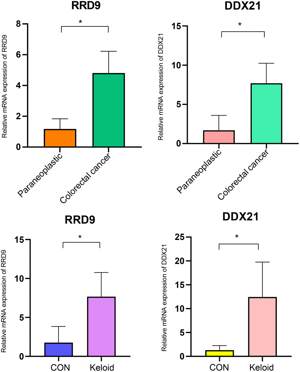PCR experiments. Expression levels of RRP9 and DDX21 in colorectal cancer and keloid.