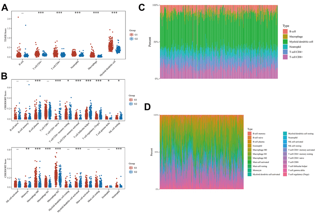 Correlation between EMT- and energy metabolism-related genes and immune cell infiltration in BLCA. (A) Differences in the expression of immune cells in the two groups were analyzed using the TIMER algorithm. (B) A heatmap of the percentages of immunoinfiltrating cells in both groups. (C) CIBERSORT algorithm was used to further analyze the differences in the expression of immune cells in the two groups. (D) A heatmap of the percentages of immunoinfiltrating cells in the two groups was further analyzed.