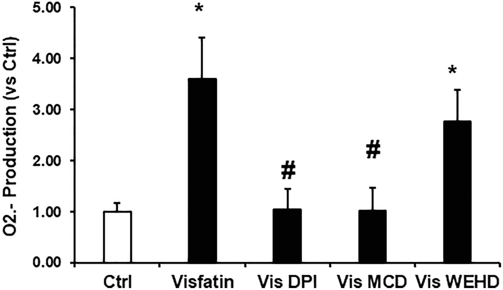 Effects of NADPH oxidase inhibition on visfatin-induced superoxide production in podocytes. O2·− production in podocytes with or without stimulation of visfatin, DPI or MCD or WEHD. Values are means ± SEM, showing fold changes as compared with control. Abbreviations: Ctrl: Control; Vis: Visfatin; DPI: diphenyleneiodonium; MCD: methyl-β-cyclodextrin. *P #P 