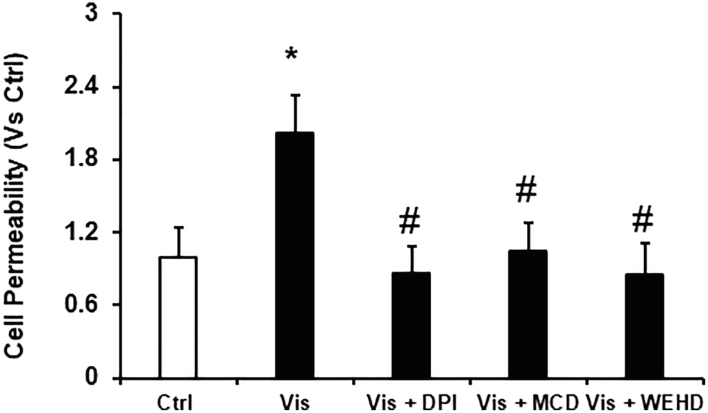 Inhibition of NADPH and inflammasome attenuates the visfatin-induced cell permeability in podocytes. Values are arithmetic means ± SEM (n = 5 − 8 each group) of cell permeability in podocytes with visfatin in the presence of inhibitors of MR aggregation (MCD), NADPH oxidase inhibitor (DPI) or caspase-1 inhibitor, WEHD. Abbreviations: Ctrl: Control; Vis: Visfatin; DPI: diphenyleneiodonium; MCD: methyl-β-cyclodextrin. *P #P 