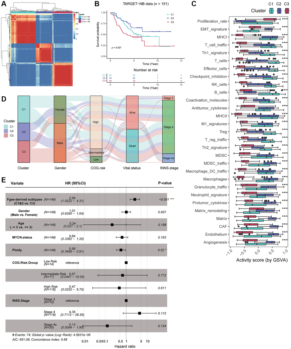 Consensus clustering identified three novel subtypes based on Fges activity scores. (A) Heatmap shows the consensus clustering matrix of the TARGET-NB cohort based on the activity score of Fges. (B) KM curve shows that the three Fges-derived subtypes exhibit significant differences in prognosis. P-value was obtained by log-rank test. (C) Box plot shows the distribution of activity scores of Fges in three Fges-derived subtypes. P-value was obtained by Wilcoxon rank-sum test. ****p D) Sankey plot shows the associations between the Fges-derived subtypes and clinical features, including gender, COG risk groups, survival status, and INSS stages. (E) Forest plot shows the independent effect of Fges-derived subtypes, along with other clinical features as well as classical groupings, on the prognosis of patients with neuroblastoma. This was determined through multivariate Cox regression analysis.