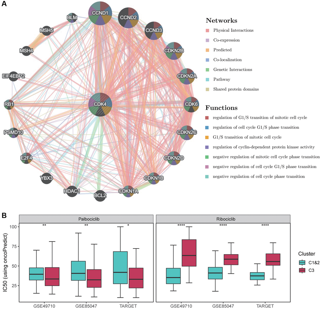 Drug sensitivity analysis of CDK4 inhibitors. (A) Functional analysis of the protein-protein interaction network and CDK4, along with its neighboring genes. The edges of the network are color-coded to indicate the bioinformatics methods used, including physical interactions, co-expression, site prediction, co-localization, pathway and genetic interactions, and shared protein structural domains. The nodes of the network are also color-coded to reflect the enrichment results of the genome. The size of each circle corresponds to the rank of the gene associated with CDK4, while the width of each line represents the weight of the data source used in the composite network. (B) Box plots show the distribution of IC50 values for Palbociclib as well as Ribociclib in Fges-derived subtypes. P-values were obtained from t-tests. *p **p ****p 