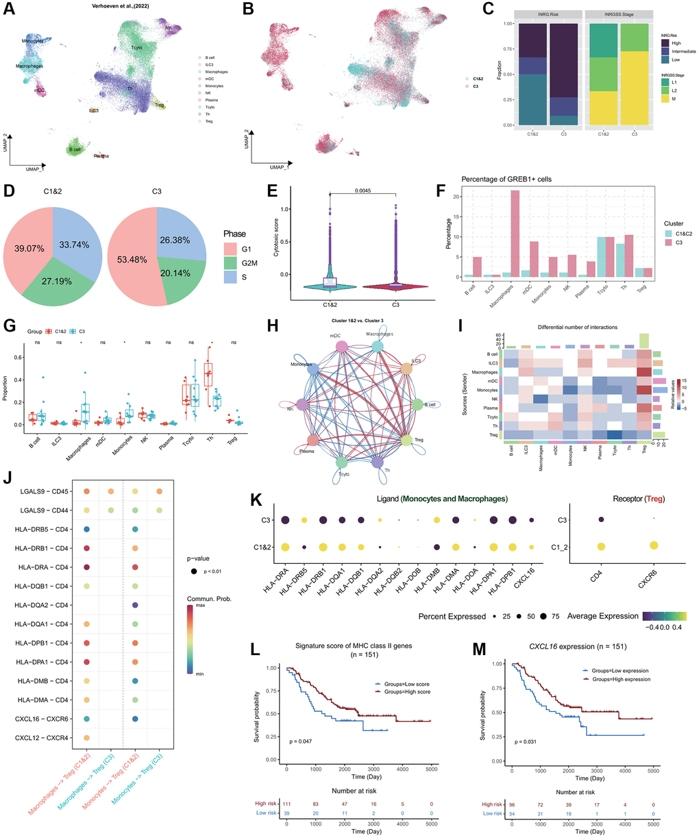 Single-cell profiling of the NB immune microenvironment and subtype-specific interactions. (A) Global overview of NB immune cell atlas containing 46,134 cells, color coded by annotated cell type (n = 17). (B) Global overview of NB immune cell atlas, color coded by predicted NB subtypes. (C) Stacked bar plots showing the distribution of Cluster 1&2 and Cluster 3 subtypes of NB patients in the INRG (left panel) and INRGSS (right panel) classifications. (D) Pie plots showing the percentage of cells in different NB subtypes in the G1, G2M, and S phases. (E) Violin plots combined with boxplots show the distribution of cytotoxic scores of cells in Cluster 1&2 and Cluster 3 subtypes. P-value was obtained from t-test. (F) Grouped bar plot showing the percentage of GREB1+ cells in different immune cell types of Cluster 1&2 and Cluster 3 patients. (G) Grouped boxplot showing the cellular proportion of Cluster 1&2 and Cluster 3 patients. P-values were obtained from t-tests. ns, not significant; *p H) Interaction map depicting the ligand-receptor interactions within the NB immune microenvironment. Red indicates stronger interactions between ligands and receptors in Cluster 1&2 compared to Cluster 3, while blue indicates weaker interactions in Cluster 1&2 compared to Cluster 3. The thickness of the lines represents the strength of the differences. (I) Heatmap showing the differences in ligand-receptor interactions between Cluster 1&2 and Cluster 3. Red indicates stronger interactions between ligands and receptors in Cluster 1&2 compared to Cluster 3, while blue indicates weaker interactions in Cluster 1&2 compared to Cluster 3. (J) Bubble plot showing the significant interactions between receptor and ligand genes among Monocytes, Macrophages, and Treg cells in both Cluster 1&2 and Cluster 3 subtypes (p K) Bubble plot showing the expression of ligands MHC II molecules and CXCL16 in Monocytes and Macrophages of both Cluster 1&2 and Cluster 3 subtypes, as well as the expression of receptor genes CD4 and CXCR6 in Treg cells. (L) KM curve showing the stratification derived by the signature score of MHC Class II genes exhibiting significant differences in prognosis. P-value was obtained by log-rank test. (M) KM curve showing the stratification derived by the expression of CXCL16 exhibiting significant differences in prognosis. P-value was obtained by log-rank test.