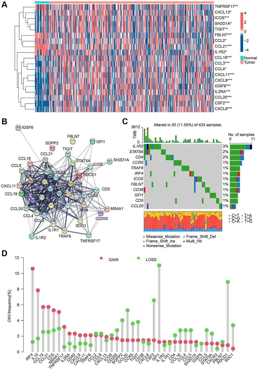Analysis result of TLS-RGs in expression and mutational landscape. (A) Result of DE-TLS-RGs expression in normal and GC tissues. (B) PPI network analysis of TLS-RGs. (C) Somatic mutational landscape of TLS-RGs. (D) CNV frequencies of TLS-RGs in GC. *p **p ***p 