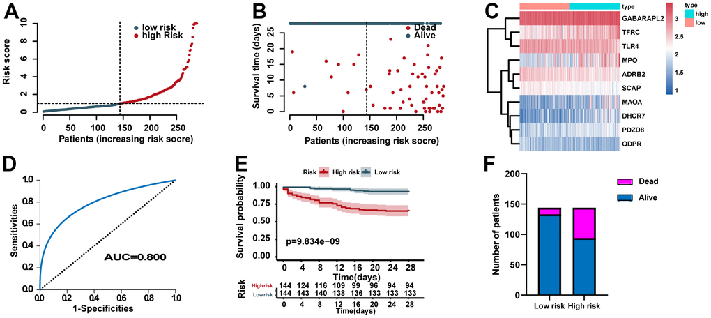 Assessment of the predictive power of the risk signature in the training set. (A) Distribution of risk scores. (B) Survival status of each case. (C) Heat map of ERG expression. (D) ROC analysis of the survival-related prognostic signature. (E) Kaplan–Meier (KM) survival curves for the overall survival of the risk score. (F) Comparison of survival rate between two groups.