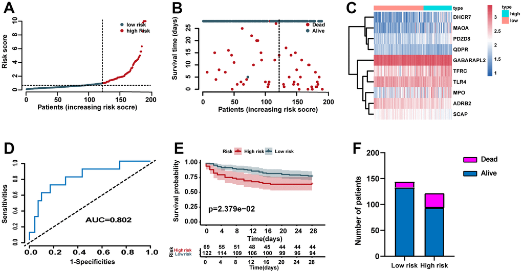 Validation of the predictive power of the risk signature in the validation set. (A) Distribution of risk scores. (B) Survival status of each case. (C) Heat map of ERG expression. (D) ROC analysis of the survival-related prognostic signature. (E) Kaplan–Meier (KM) survival curves for the overall survival of the risk score. (F) Comparison of survival rate between two groups.