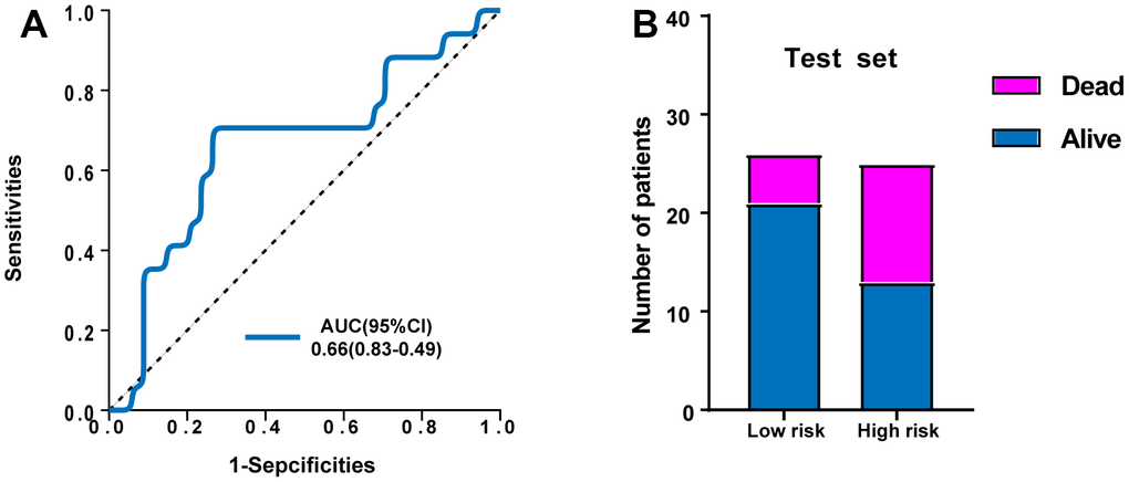 Validation of the predictive power of the risk signature in the external test set. (A) ROC analysis of the survival-related prognostic signature. (B) Comparison of survival rate between two groups.