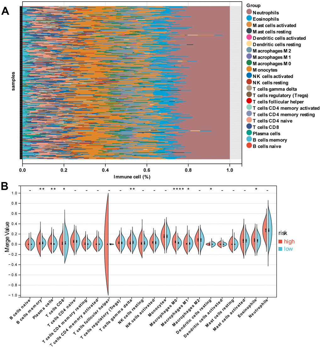 Immune characteristics of patients in the high- and low-risk groups. (A) Relative proportion of immune cells between high- and low-risk groups. (B) Violin plot indicating relative proportions of immune cell expression distribution of sepsis patients stratified by the ten-gene signature into high- and low-risk groups.