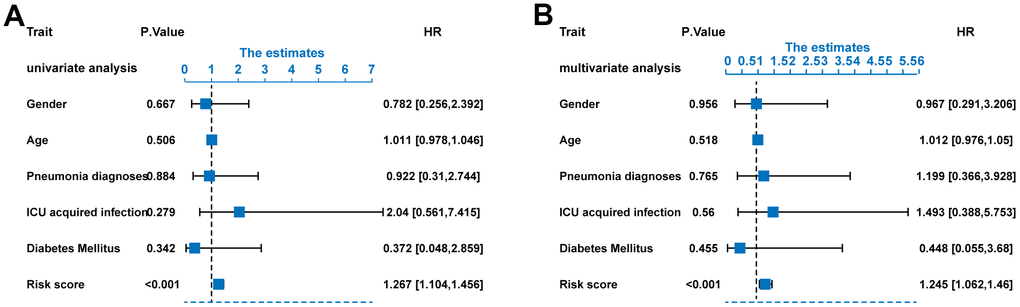 Risk score as an independent predictor of survival. (A) Univariate Cox regression analysis results. (B) Multivariate Cox regression analysis results.