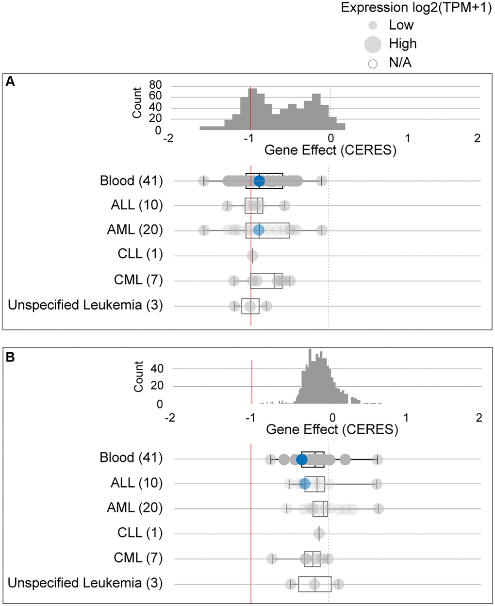 The dependency of leukemia cells on GPX4 (A) and AIFM2 (B). The blue circle represents the SHI-1 AML cell line with nonconserved gene mutations. A score 