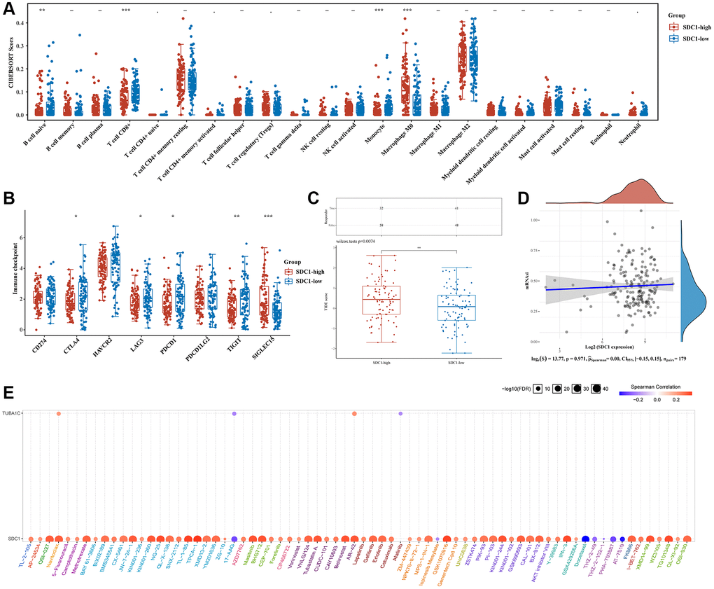 Comparison of immune status and stemness between groups that express high and low levels of SDC1. (A) An analysis of immune infiltration was obtained using the CIBERSORT algorithm for the high expression group of SDC1 and the low expression group of SDC1; the horizontal axis represents immune cells, while the vertical axis displays immune scores (*p **p ***p B) Comparison of immune-checkpoint gene expression in SDC1 high expression group and SDC1 low expression group. (C) Table showing immune response statistics and immune response scores for different groups. (D) With the OCLR algorithm, SDC1 low expression, and SDC1 high expression groups were compared for stemness. (E) The correlation between SDC1/TUBA1C and GDSC drug sensitivity in PC.