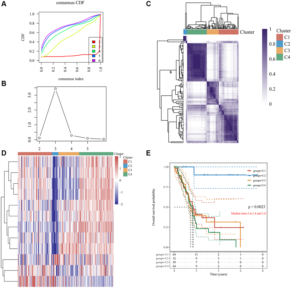 Clustering of PC molecular subgroups based on 12 GRGs. (A) Cumulative distribution function (CDF) curve. (B) CDF delta area curve, which shows how the area under the CDF curve changes between k and k-1 for each category number. The horizontal axis represents the number k, and the vertical axis represents the change in area under the CDF curve; each line represents a relative change. (C) A heatmap representing the consensus matrix for k = 4 derived from consensus clustering. Rows and columns in the matrix represent samples, and the degrees of consistency are represented by white to dark blue. (D) The heatmap of 12 GRGs in 4 clusters. (E) The KM survival curve of different groups in TCGA data sets.