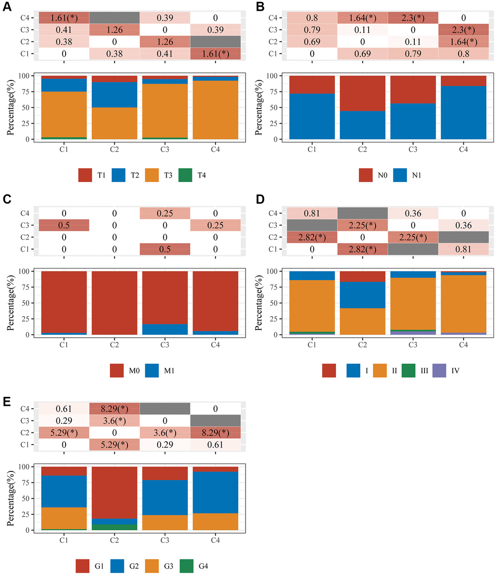 An analysis of clinical characteristics in four clusters. The horizontal axis represents the different sample groups. The vertical axis indicates how much clinical information is present in each grouped sample. The table above shows the clinical feature significance p-value (-log10) (based on the chi-square test). (A) T staging; (B) N staging; (C) M staging; (D) clinical stage; (E) clinical grade.