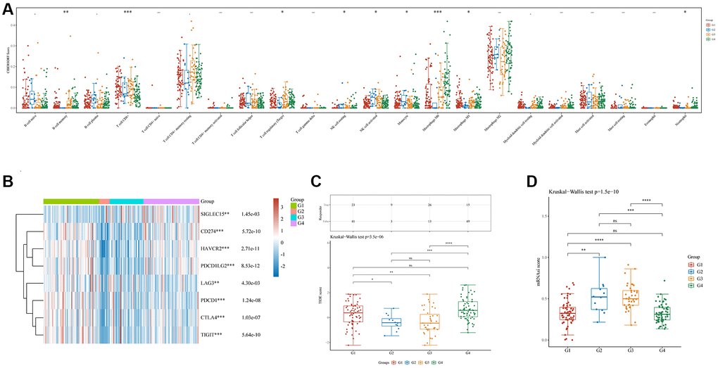 Immune and stemness analysis in four clusters. (A) Analysis of immune infiltration by C1, C2, C3, and C4 based on the CIBERSORT algorithm; the horizontal axis represents immune cells, while the vertical axis displays immune scores (*p **p ***p B) Comparison of immune-checkpoint gene expression in C1, C2, C3, and C4; the horizontal axis shows different immune checkpoint genes, while the vertical axis displays the expression level (*p **p ***p C) A statistical table showing the immune response and the distribution of scores for the different groups, according to the prediction. (D) A comparison of stemness for C1, C2, C3, and C4 using mRNAsi scores and the OCLR algorithm.