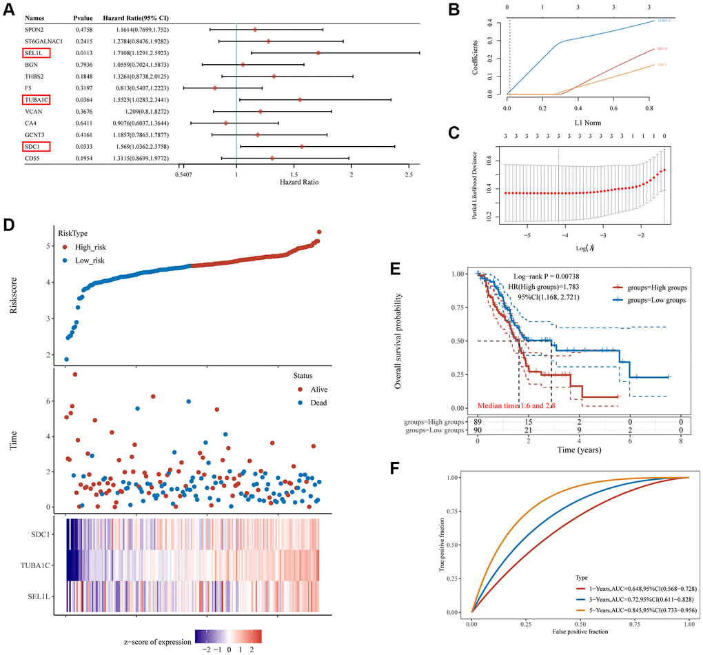 The prognostic signature of PC based on 3 GRGs in the TCGA database. (A) Log-rank test identifies 3 GRGs correlated to OS in PC patients. (B) Lambda parameter shows the coefficients of 3 GRGs. Lambda is represented horizontally, while coefficients are represented vertically. (C) The partial likelihood deviance versus log(λ) was calculated using the LASSO Cox regression model. (D) The relationship between risk score and living status. Graphs in the middle indicate the risk score, scatter diagrams in the middle, and gene expression heat maps below. (E) The KM survival curve of the risk model in the TCGA data set. Several groups were tested by log-rank and HR (high expression), representing the risk factors of high expression versus low expression. (F) ROC curves for the risk model and AUCs over various periods (one year, three years, five years). Plots revealed better consistency between the nomogram predictions and actual observations (Figure 7D).