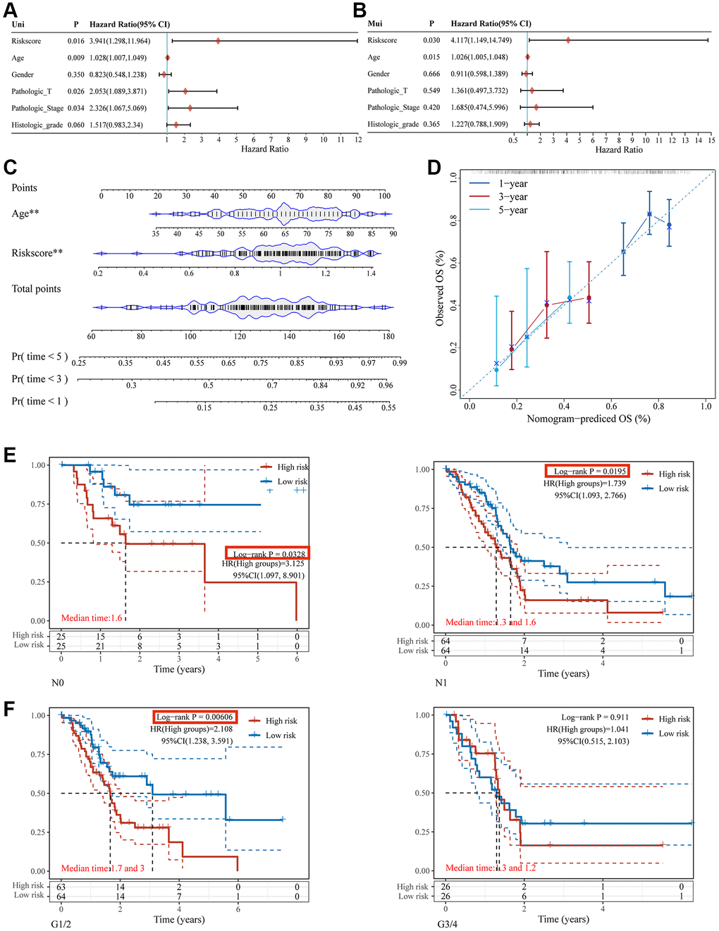 Nomogram construction for patients with PC in the TCGA database. The forest plot of the univariate (A) and multivariate (B) association between risk scores and clinicopathological characteristics. (C) A nomogram based on two independent prognostic factors was developed to predict the OS in patients with PC over 1, 3, and 5 years. (D) The calibration plot for internal validation of the nomogram. Survival analyses using the glycosylation-related signature in patients with different N staging (E) and clinical grade (F).