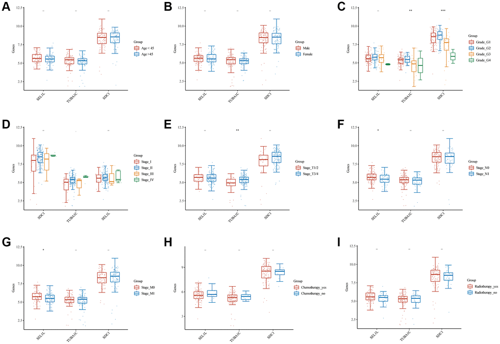 Comparisons of clinical characteristics between 3 GRGs. Age (A), gender (B), clinical grade (C), clinical stage (D), T staging (E), N staging (F), M staging (G), chemotherapy history (H), and radiotherapy history (I) of high and low SEL1L/TUBA1C/SDC1 expression groups.