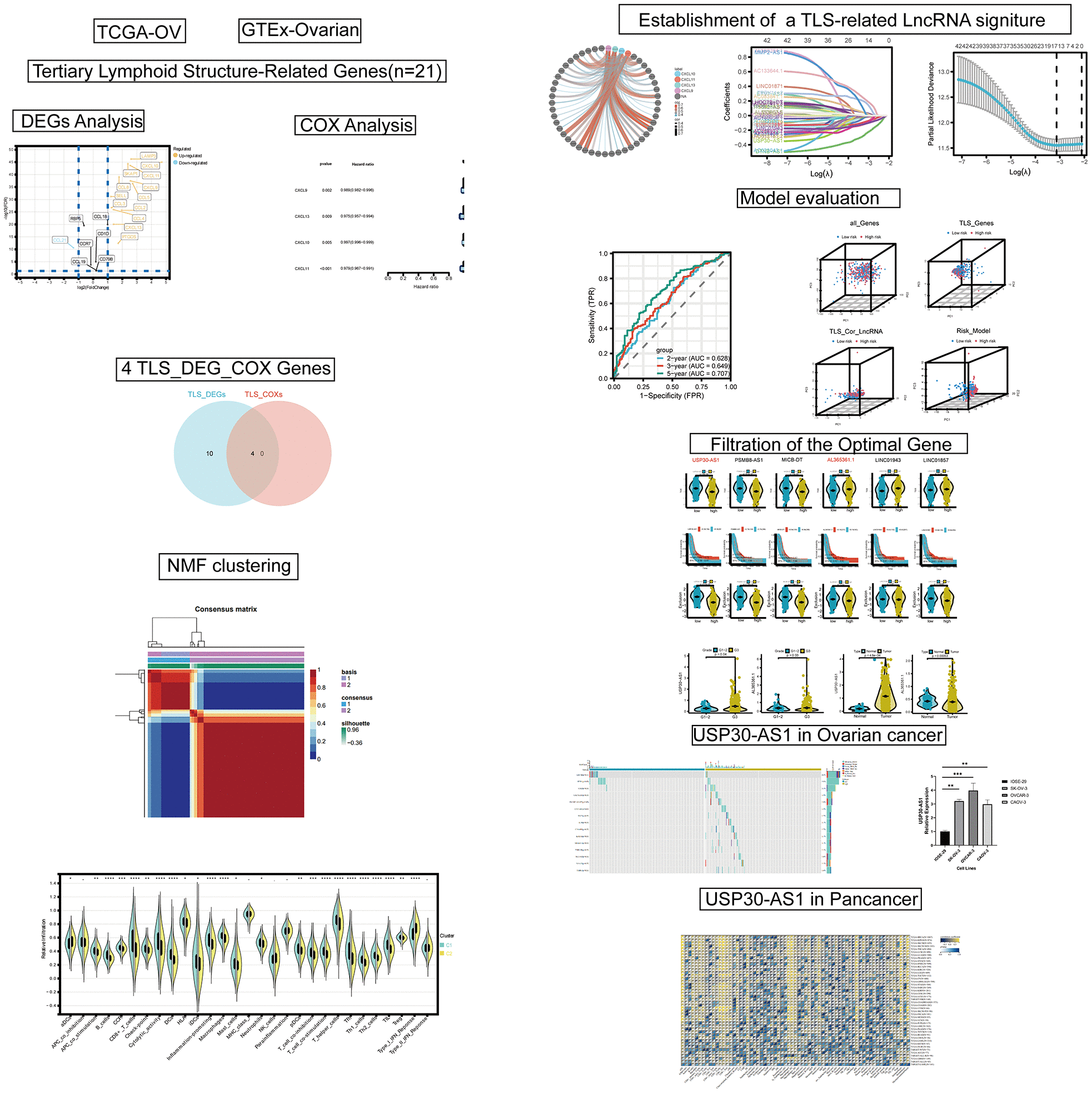 class="figure-viewer-img"