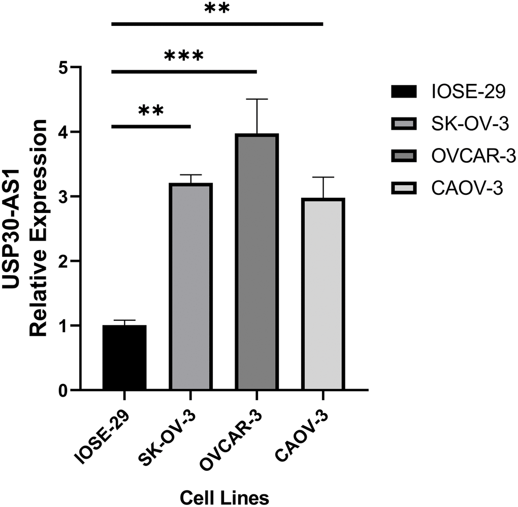 RT-qPCR analysis of ovarian cancer cell line and normal ovarian cell line.