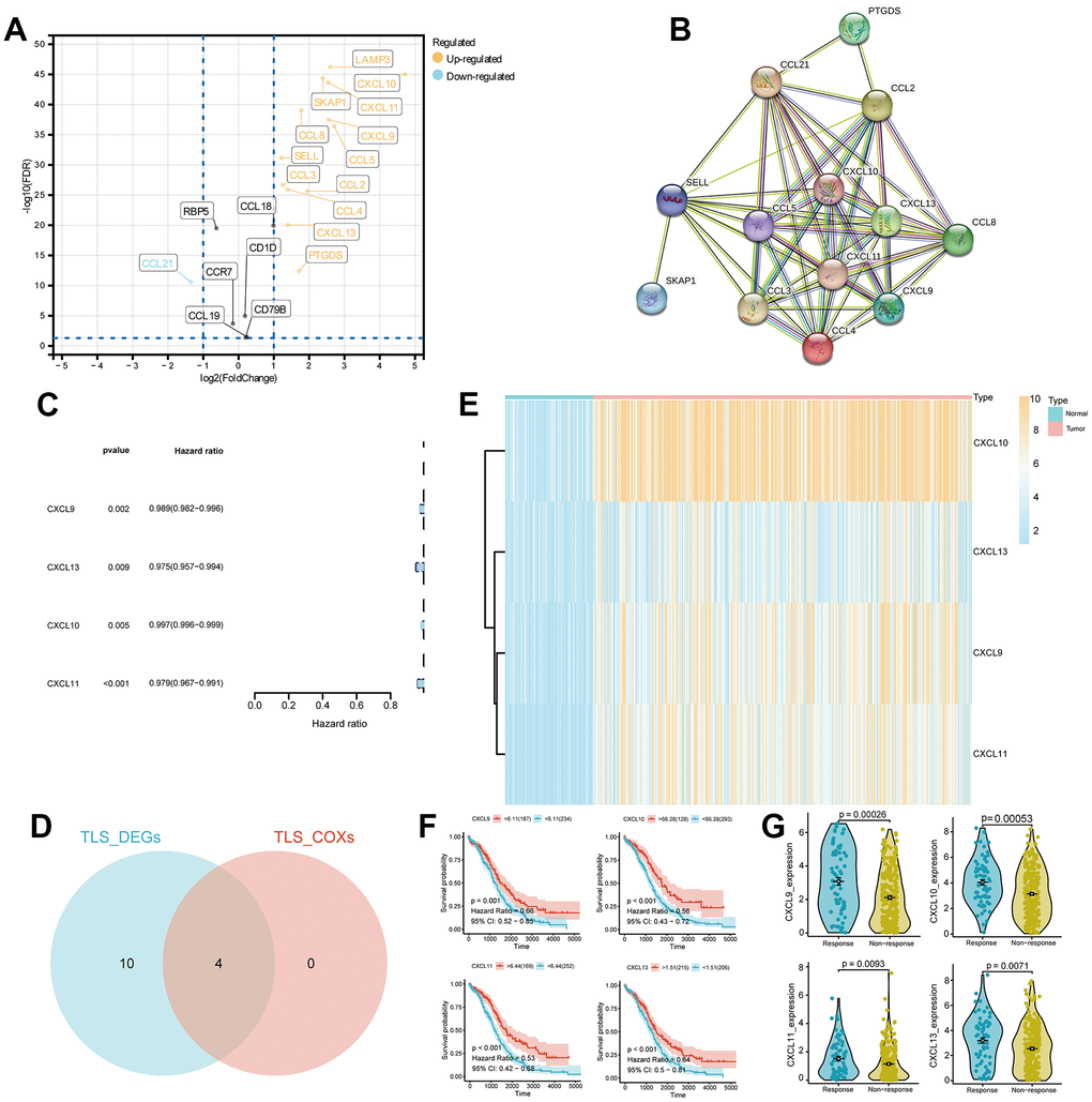 Differential expression analysis and identification of TLS