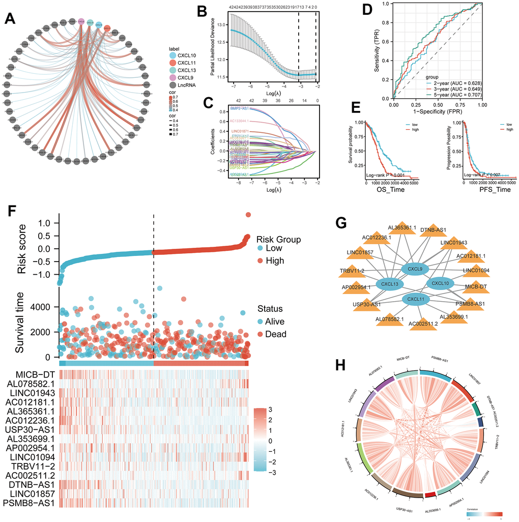 Development of a four-gene risk model and its correlation with lncRNA. (A) Correlation analysis between CXCL9, CXCL10, CXCL11, and CXCL13 and lncRNA (cor=0.35, p B, C) Least Absolute Shrinkage and Selection Operator (LASSO) regression analysis of the 42 differentially expressed mRNAs (DEMs), with 16 selected as valuable prognostic indicators. (D) Receiver operating characteristic (ROC) curve of the four-gene model at 2, 3, and 5 years. (E, F) Comparison of overall survival (OS) and progression-free survival (PFS) between the high- and low-risk groups. (G) Visualization of the associations between the four genes of interest (CXCL9, CXCL10, CXCL11, and CXCL13) and 15 lncRNAs using Cytoscape. (H) Chord plot showing correlations between the four genes and the 15 model lncRNAs.