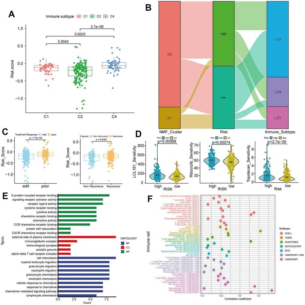 Immune subtypes, treatment response, and gene ontology (GO) analysis in high and low-risk groups. (A) Differences in risk scores among C1, C2, and C4 immune subtypes. (B) Sankey plot showing high and low expression trends of different clinical features of C1, C2, and C4 subtypes in samples of patients with ovarian cancer. (C) Comparison of risk scores in treatment response (Well vs. Poor) and recurrence (Recurrence vs. Non-Recurrence). (D) Drug sensitivity analysis for LCL161, ribociclib, and topotecan treatments in ovarian cancer. (E) GO analysis in high and low-risk groups. (F) Correlations between tumor immunity and ovarian cancer using data from various databases.