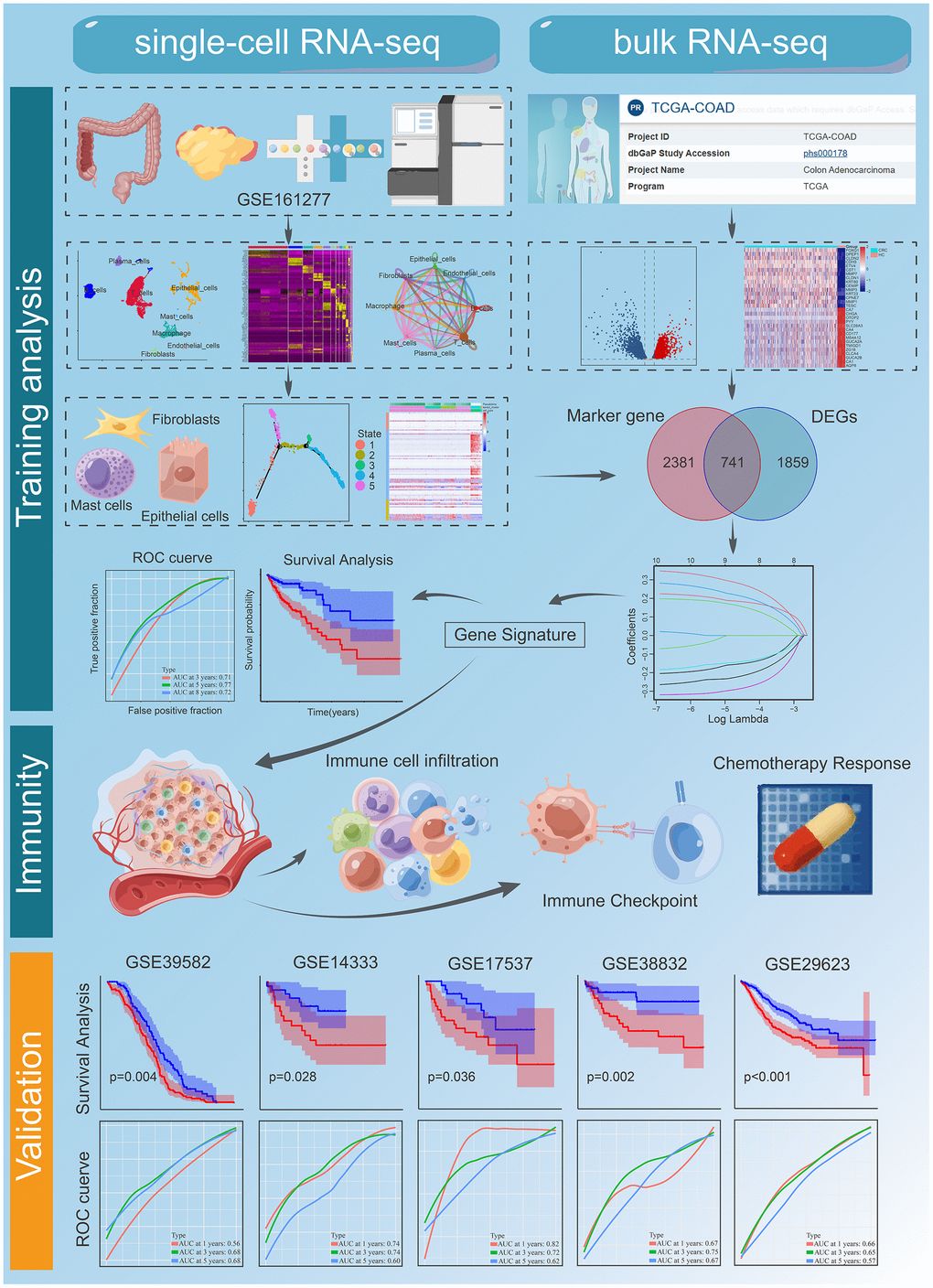 The workflow of the bioinformatic analysis. Part of the cartoon graphical was drawn by Figdraw.