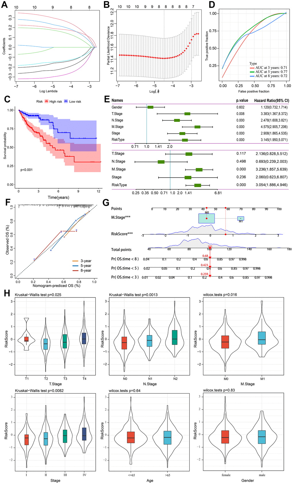 Prognostic model establishment and validation for patients with CRC. (A) Cross-validation for eight OS-related genes in the LASSO regression. (B) Partial likelihood deviance for the LASSO regression for eight candidate genes. (C) The Kaplan-Meier curve was used to analyze the OS of two risk groups of patients with CRC. (D) ROC curves evaluate the predictive ability of the constructed risk model. (E) The results of univariate independent prognostic analysis and multivariate independent prognostic analysis. (F) The nomogram’s calibration curves for predicting 3-, 5-, and 8-year OS in TCGA-CRC cohorts. (G) Based on independent prognostic factors, a nomogram was developed to predict overall survival. The survival rate at 3-, 5-, and 8-year survival rate is predicted according to the total score. (H) The relationship between risk score and common clinicopathological characteristics.