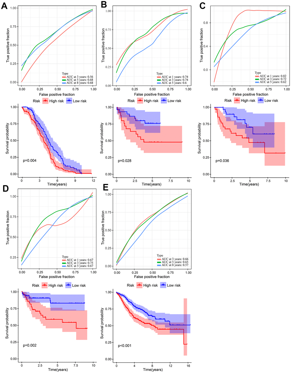 Validation of the gene signature in five independent GEO cohorts. (A) GSE14333 (n = 226). (B) GSE17537 (n = 55). (C) GSE29623 (n = 65). (D) GSE38832 (n = 122). (E) GSE39582 (n = 563).