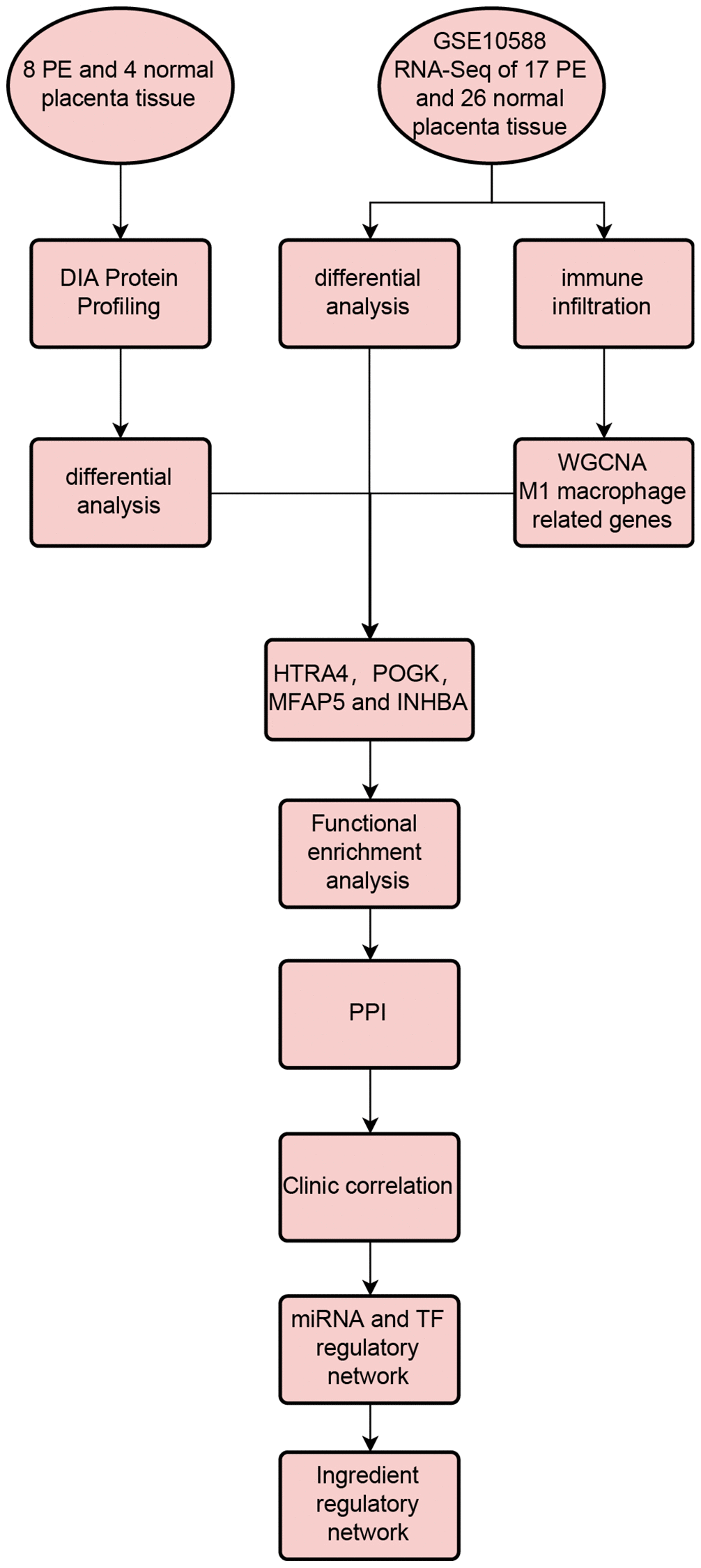 Workflow of this study.