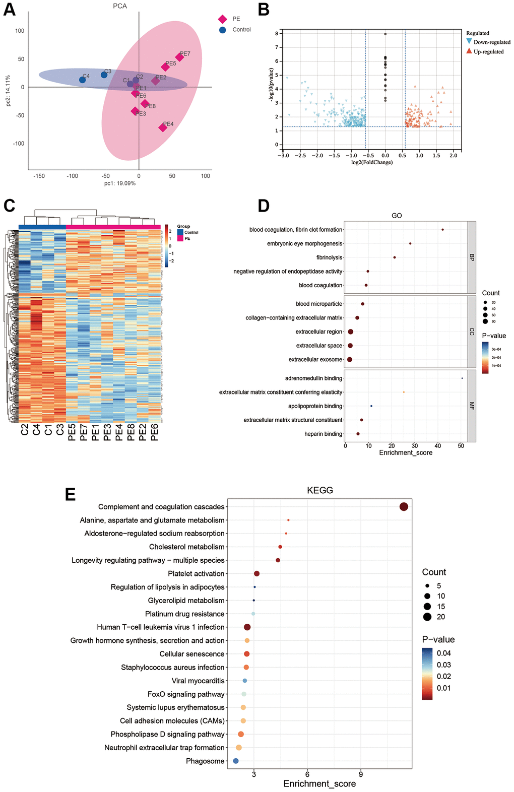 DIA proteomics and functional enrichment analyses. (A) PCA analysis of clinical samples. (B–E) Volcano plot (B), heat map (C), GO enrichment analysis (D), and KEGG enrichment analysis (E) of differentially expressed proteins between the PE group and normal controls.