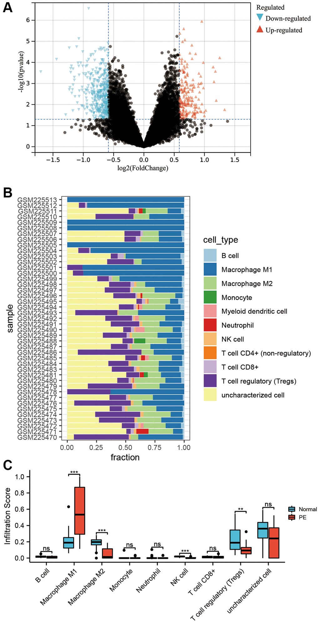 Transcriptome differential analysis and immune infiltration. (A) Volcano plot of differentially expressed mRNA in the GSE10588 dataset between the PE group and normal controls. (B) Scores of 10 types of immune cell infiltration in each sample of the GSE10588 dataset. (C) Differences in immune cell infiltration scores between the PE group and normal controls in the GSE10588 dataset.