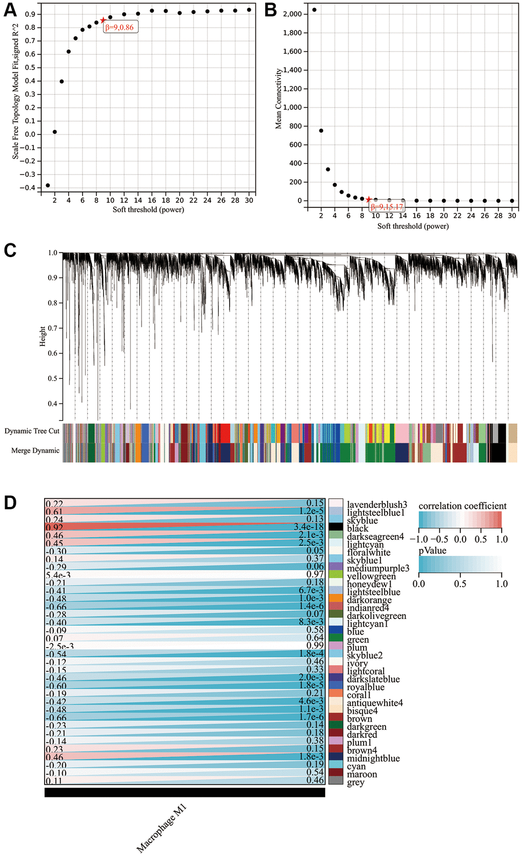 WGCNA findings. (A) Scale independence plot. (B) Mean connectivity plot. (C) Gene clustering dendrogram. (D) Heat map showing the correlation between modules and M1 macrophages.