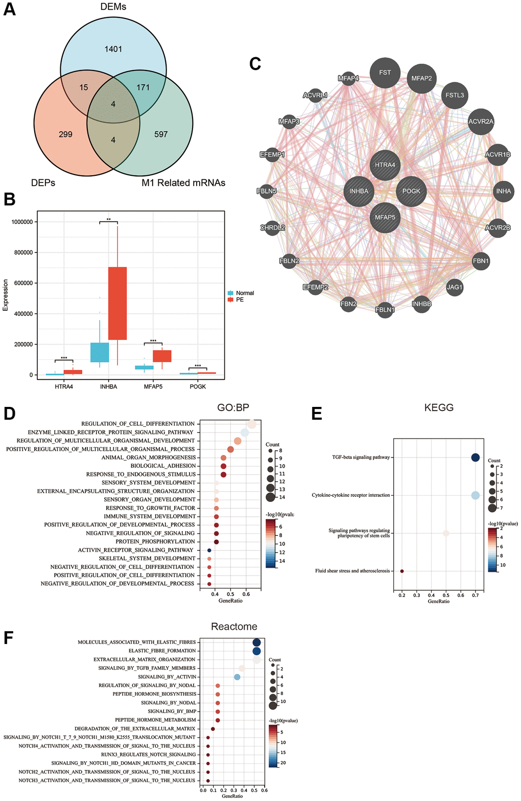 Hub protein screening and enrichment analysis. (A) Venn diagram of the intersection of differentially expressed proteins, differentially expressed mRNA, and M1 macrophage-related mRNA. (B) Box plot of differentially expressed hub proteins. (C) Protein-protein interaction network. (D) GO enrichment analysis. (E) KEGG enrichment analysis. (F) Reactome enrichment analysis.