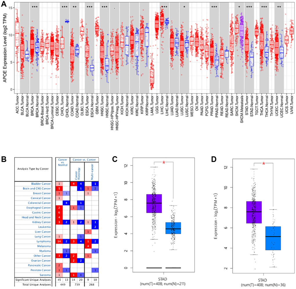 The transcription levels of APOE in human cancers. APOE mRNA expression in pan-cancer (A, B) and gastric cancer (C, D).