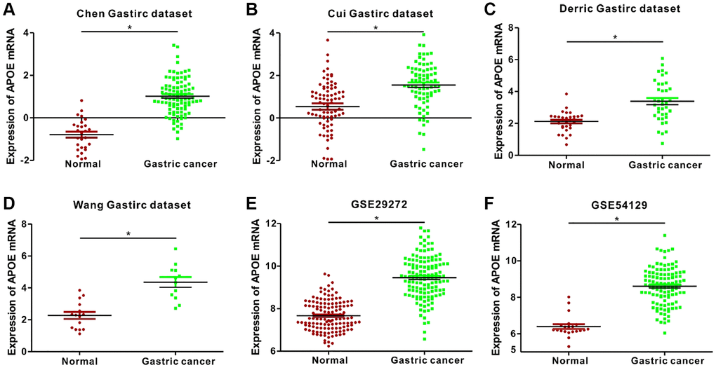 Analysis of APOE mRNA expression in normal and gastric cancer (GC) tissues from 2 public databases. APOE mRNA levels are significantly lower (P A) Chen (Normal = 29; Tumor = 83), (B) Cui (Normal = 80; Tumor = 80), (C) Derric (Normal = 31; Tumor = 38), and (D) Wang (Normal = 15; Tumor = 12) Gastric datasets from the Oncomine database; and (E) GSE29272 (Normal = 134; Tumor = 134) and (F) GSE54129 (Normal = 21; Tumor = 111) datasets from the GEO databases.