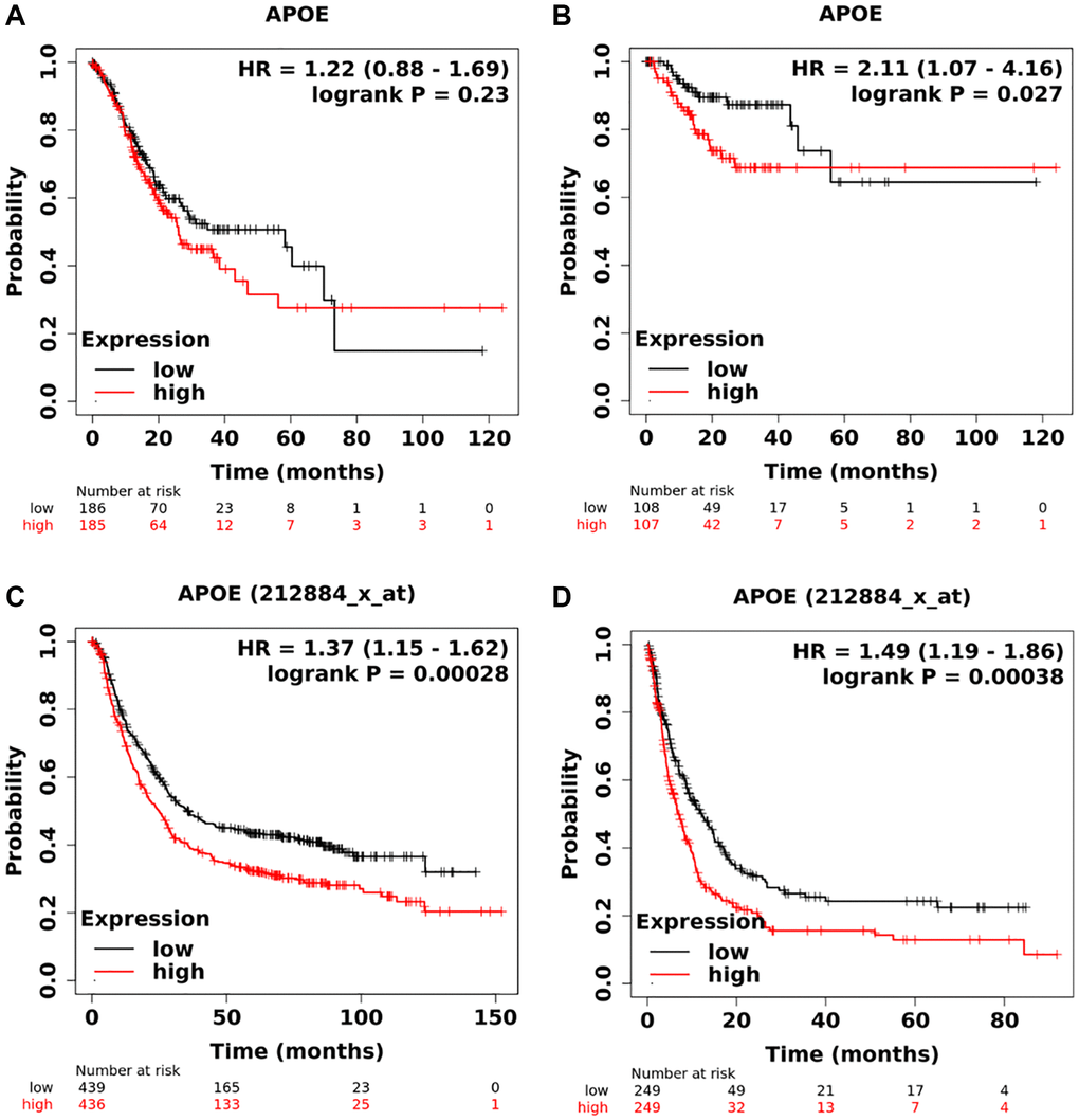 Survival analysis of APOE mRNA in gastric cancer. Low levels of APOE are correlated with longer overall time (A) and disease-free survival time (B) based on TCGA dataset. Low levels of APOE are related to longer overall time (C) and disease-free survival time (D) based on GEO database.