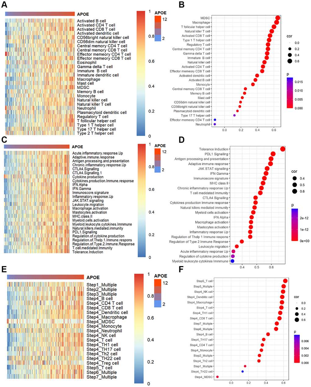 APOE is associated with immune infiltration and immune activation in GC. (A) Heatmap displayed APOE mRNA level associated relative abundance of 28 immune cells in GC. (B) The relationship between the mRNA level of APOE and 28 immune cells in GC. (C) Heatmap showing relative association between APOE and 25 immunity-related gene sets. (D) The relationship between 25 immunity-related gene sets and APOE in GC. (E) Heatmap showing relative association between APOE and steps of the cancer immunity cycle. (F) The relationship between steps of the cancer immunity cycle and APOE in GC.