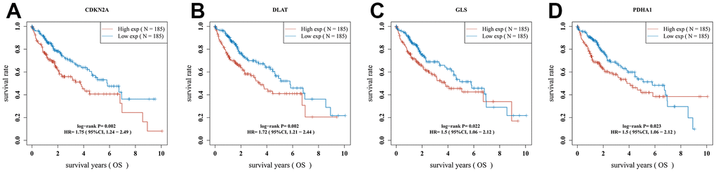 The overall survival curve of CRGs in HCC patients in the high-/low-expression group. (A) CDKN2A (B) DLAT (C) GLS (D) PDHA1.