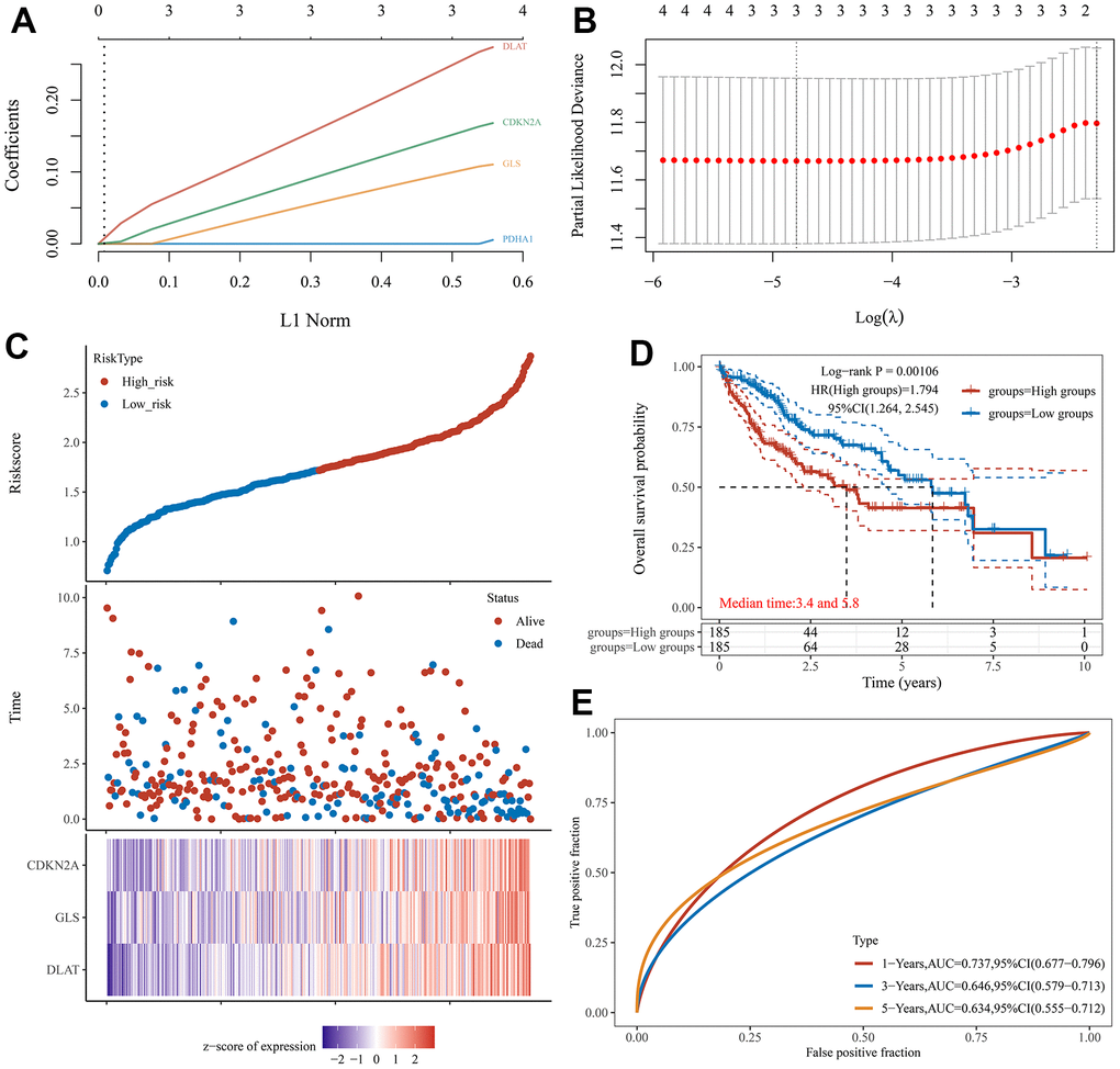 Construction of a prognostic CRGs model in HCC. (A, B) Coefficient and partial likelihood deviance of prognostic model. (C) Distribution of risk score, survival status, and the expression of 3 prognostic CRGs in HCC. (D) Survival curve of HCC patients with high/low-risk score. (E) The AUC time-dependent ROC curves in 1-, 3-, and 5-year.