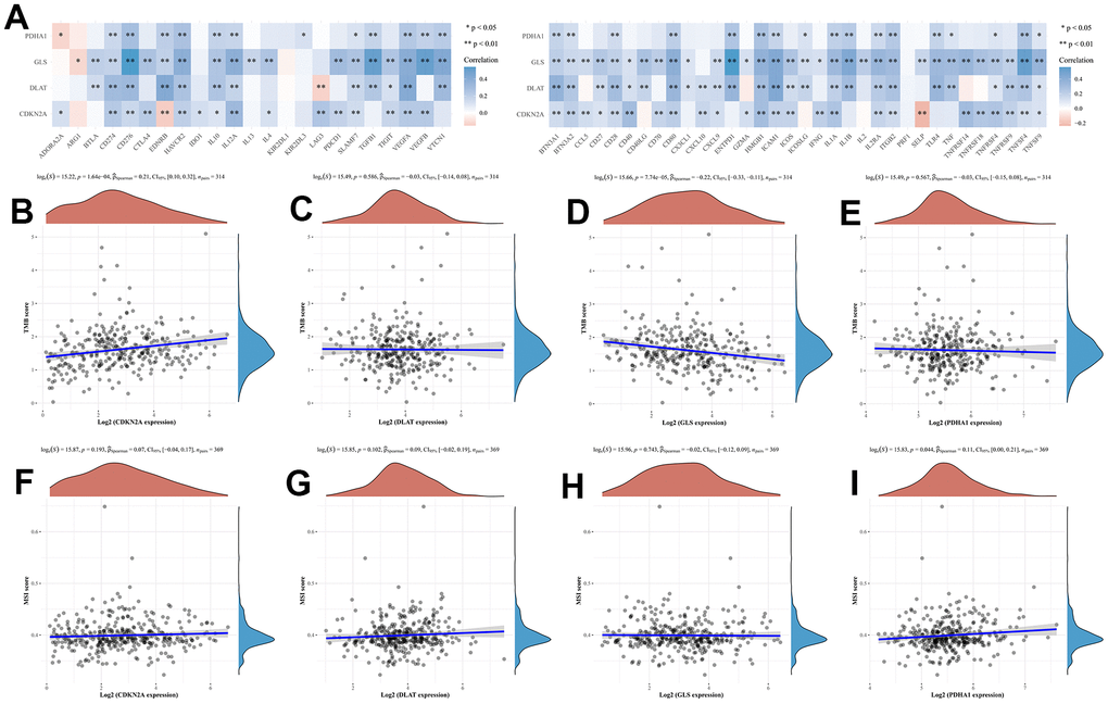 The relationship between CRGs and immune checkpoints, TMB and MSI in HCC patients. (A) immune checkpoints (B–E) TMB. TMB, tumour mutation burden. (F–I) MSI. microsatellite instability.