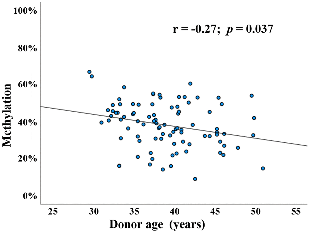 Paternal age effect on BEGAIN promoter methylation in human sperm. Scatter plot showing significant (Pearson’s r = -0.27; p = 0.037) negative correlation between donor age (x-axis in years) and mean methylation of the 9 analyzed CpGs (y-axis in %) in 90 human sperm samples (blue dots).