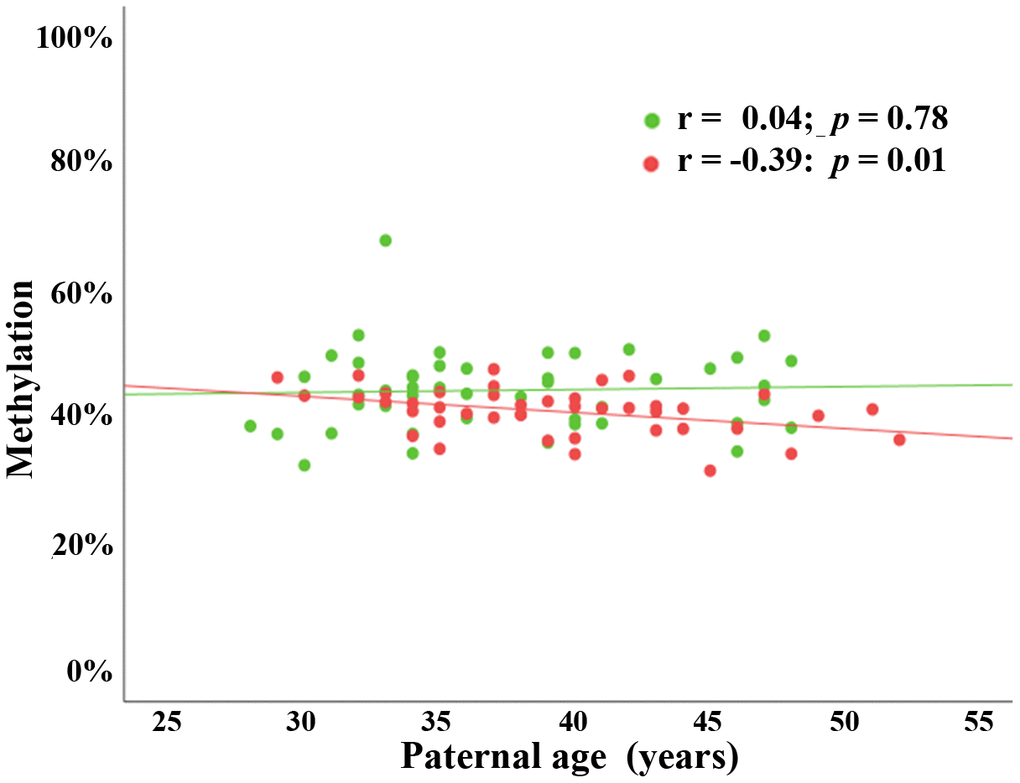Paternal age effect on BEGAIN promoter methylation in male but not in female cord bloods. Scatter plot showing significant negative correlation (Pearson’s r = -0.39; p = 0.01) between paternal age (x-axis in years) and mean methylation of 9 CpGs (y-axis in %) in 43 male FCBs (red dots). There was no paternal age effect (Pearson’s r = 0.04; p = 0.78) in 46 female FCBs (green dots).