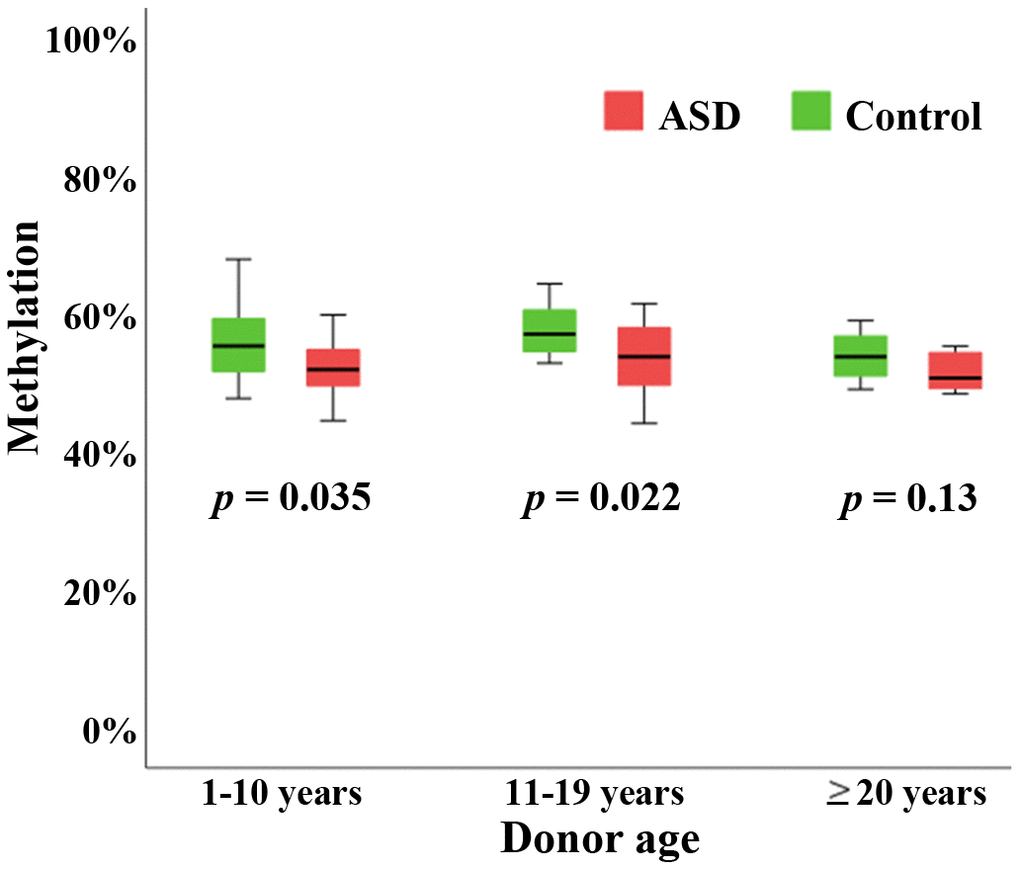 Hypomethylation of the BEGAIN promoter in peripheral blood samples of autistic individuals. Box plots showing methylation (y-axis in %) of the human BEGAIN promoter in peripheral blood of individuals with ASD (red color), compared to controls (green color). BEGAIN was hypomethylated in autistic samples in all three age groups, consisting of 20 matched pairs ≤ 10 years, 18 pairs between 11 and 19 years, and 8 pairs ≥ 20 years, respectively. In the two younger groups the between-group difference was significant. The median is presented by a horizontal line. The bottom of the box indicates the 25th and the top the 75th percentile.