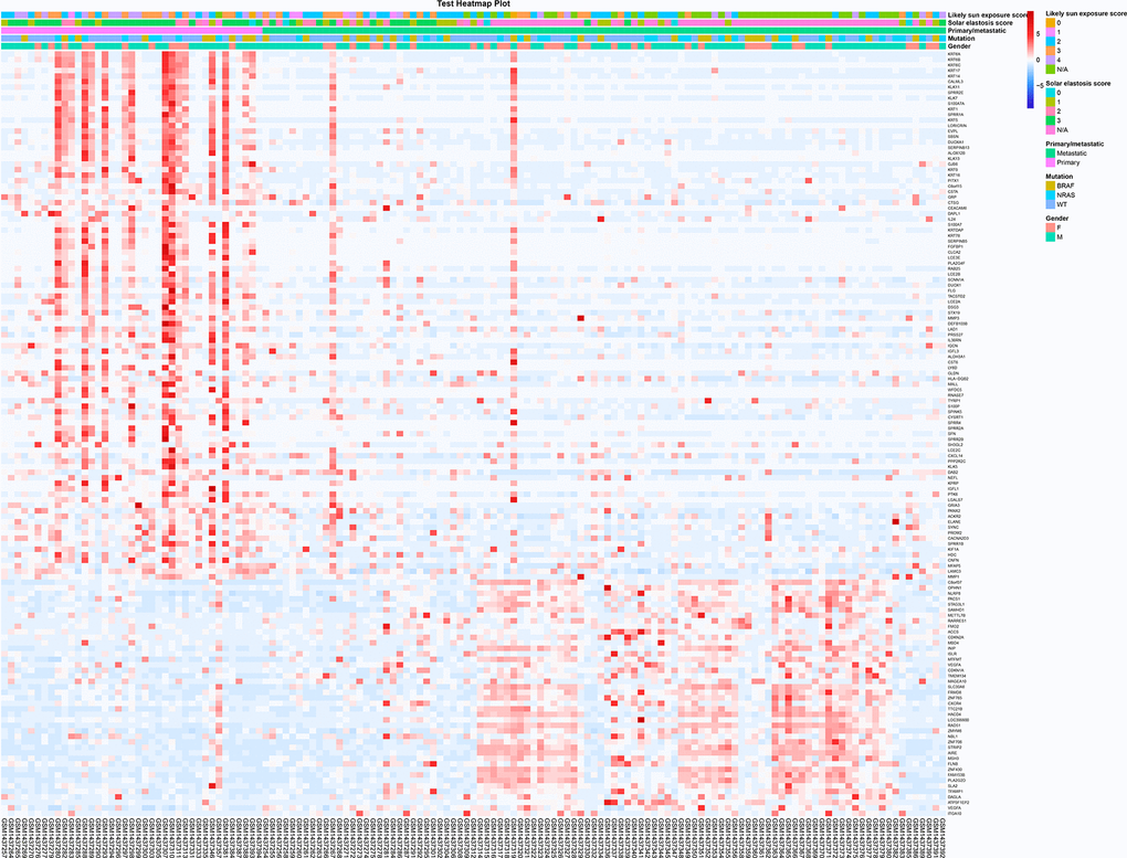 The screening and functional analysis of DEGs among primary and metastatic melanomas. The different expression genes between patients with primary and metastatic melanoma (heat map). The red points and blue points represented high and low expression level, respectively. The clinical characters of all samples were shown on the top (likely sun exposure score, solar elastosis score, primary/metastatic, mutation and gender).